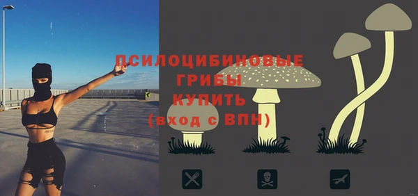 a pvp Алексеевка
