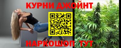 крисы Партизанск
