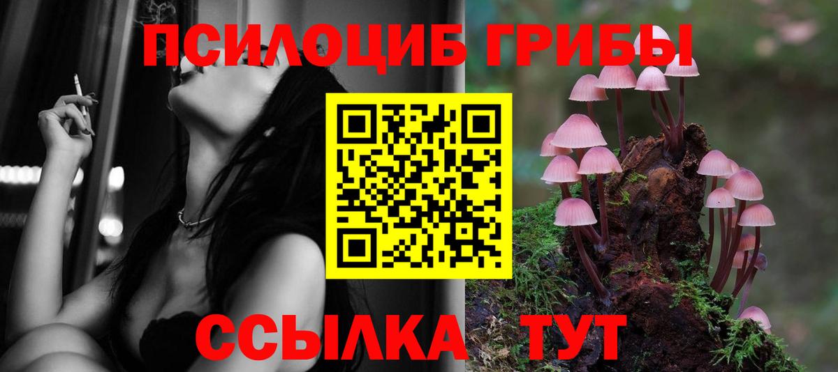 Галлюциногенные грибы Magic Shrooms Тамбов