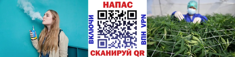 цена   Тамбов  Бошки Шишки SATIVA & INDICA 